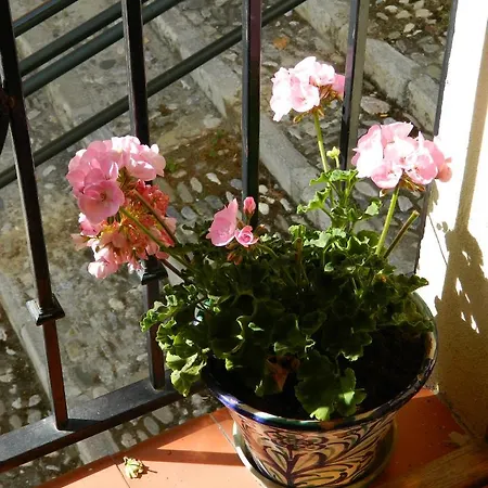 Appartement Escapadas Romanticas En Jacuzzi