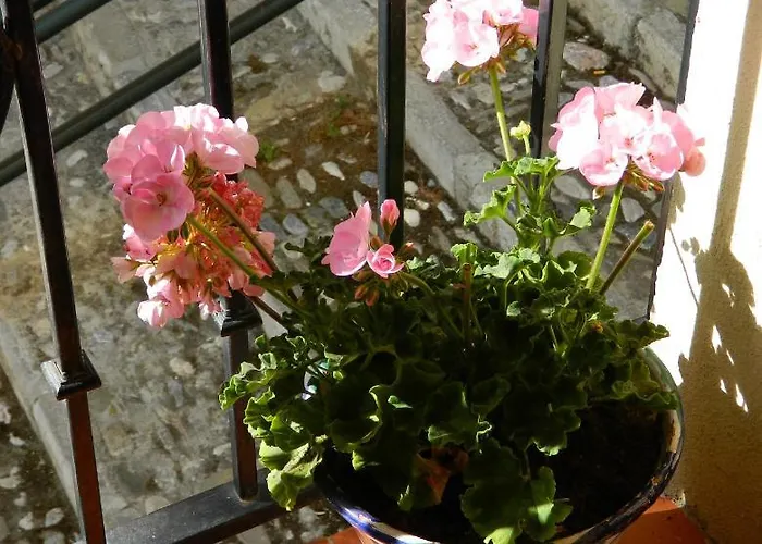 Apartman Escapadas Romanticas En Jacuzzi